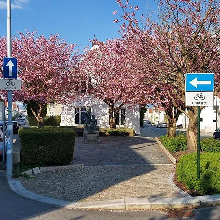 Modern Lyse Fjord Apartment