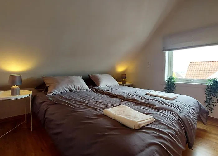 Modern Lyse Fjord Apartment